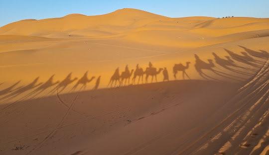 Sahara landscape near Merzouga