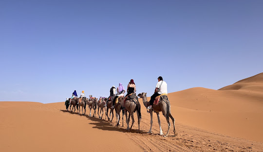 Camel ride in Merzouga desert